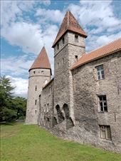 by kiwiaoraki, Views[49]