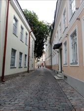 by kiwiaoraki, Views[43]