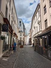 by kiwiaoraki, Views[47]