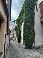 by kiwiaoraki, Views[54]