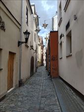 by kiwiaoraki, Views[58]