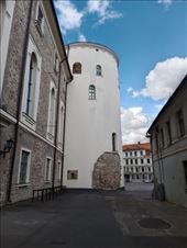 by kiwiaoraki, Views[58]