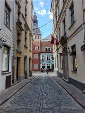 by kiwiaoraki, Views[51]