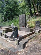 by kiwiaoraki, Views[33]