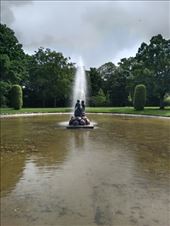 by kiwiaoraki, Views[42]