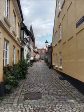 by kiwiaoraki, Views[61]