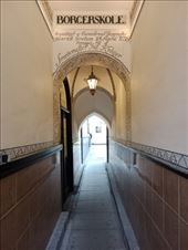 by kiwiaoraki, Views[40]