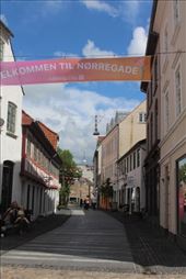 by kiwiaoraki, Views[165]