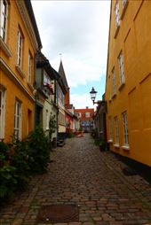 by kiwiaoraki, Views[147]