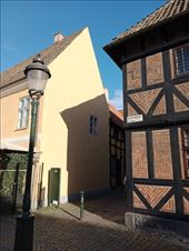 by kiwiaoraki, Views[153]