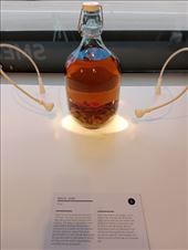 by kiwiaoraki, Views[54]