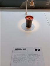 by kiwiaoraki, Views[54]