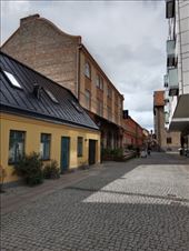 by kiwiaoraki, Views[52]