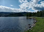 by kiwiaoraki, Views[61]
