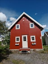 by kiwiaoraki, Views[59]