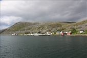 by kiwiaoraki, Views[95]