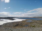 by kiwiaoraki, Views[85]