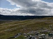 by kiwiaoraki, Views[88]