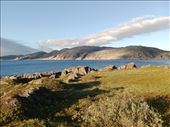 by kiwiaoraki, Views[72]