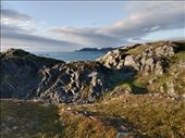 by kiwiaoraki, Views[78]
