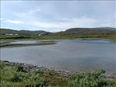 by kiwiaoraki, Views[67]