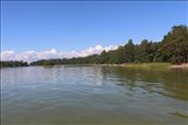 by kiwiaoraki, Views[50]