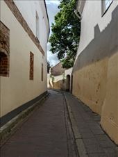 by kiwiaoraki, Views[50]