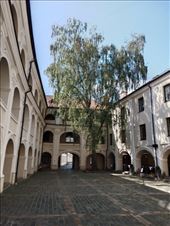 by kiwiaoraki, Views[56]