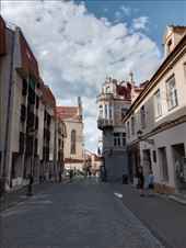 by kiwiaoraki, Views[44]