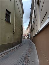 by kiwiaoraki, Views[43]