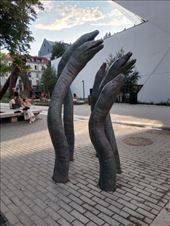 by kiwiaoraki, Views[55]