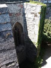 by kiwiaoraki, Views[44]