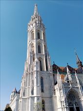 by kiwiaoraki, Views[67]