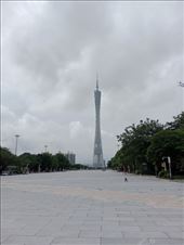 by kiwiaoraki, Views[170]