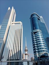 by kiwiaoraki, Views[71]