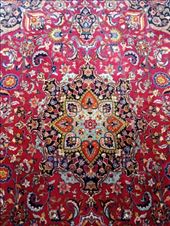 by kiwiaoraki, Views[105]