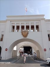 by kiwiaoraki, Views[133]