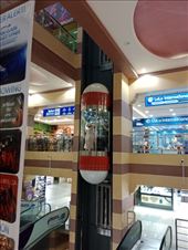 by kiwiaoraki, Views[352]