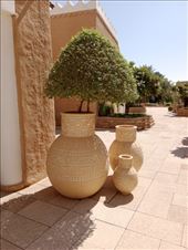 by kiwiaoraki, Views[174]