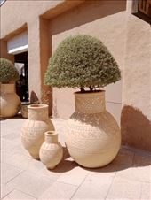 by kiwiaoraki, Views[181]