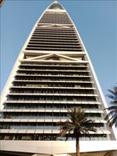 by kiwiaoraki, Views[33]