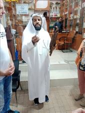 by kiwiaoraki, Views[51]