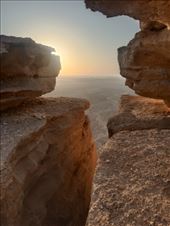 by kiwiaoraki, Views[52]