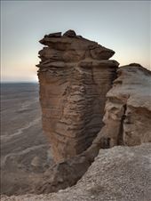 by kiwiaoraki, Views[41]