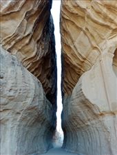 by kiwiaoraki, Views[87]