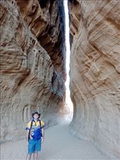 by kiwiaoraki, Views[47]