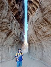 by kiwiaoraki, Views[56]