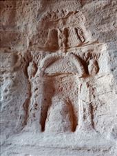 by kiwiaoraki, Views[55]