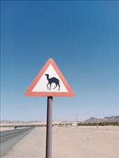 by kiwiaoraki, Views[54]