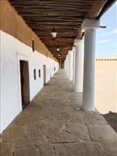 by kiwiaoraki, Views[140]